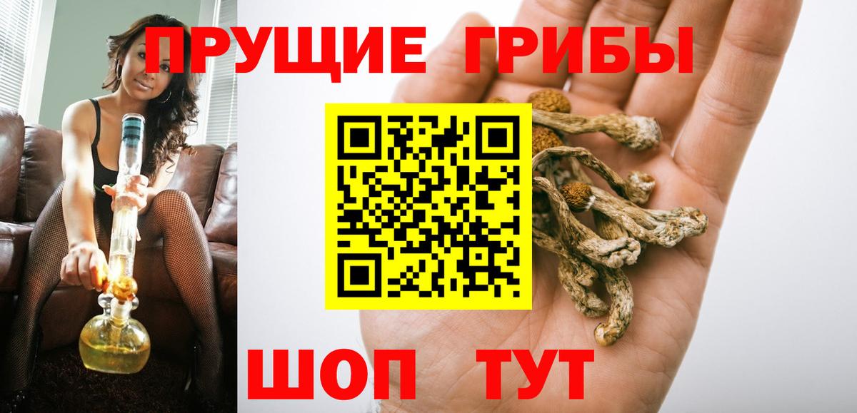 Галлюциногенные грибы мицелий Мурманск