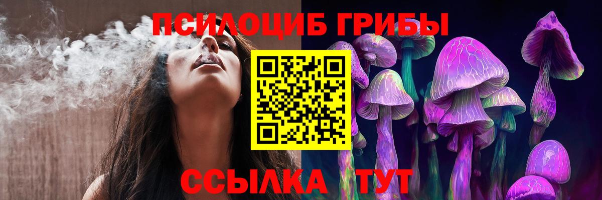 Мурманск  Псилоцибиновые грибы мицелий  Вход с VPN  Псилоцибиновые грибы Magic Shrooms 